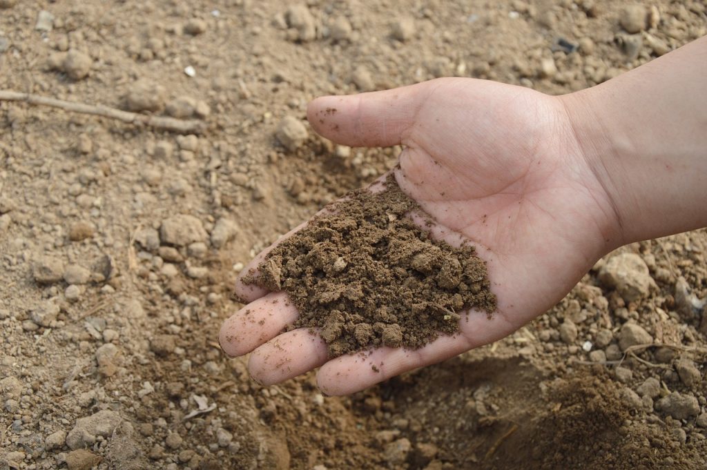 soil, nature, hand