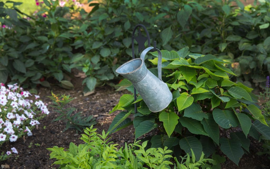 gray watering can