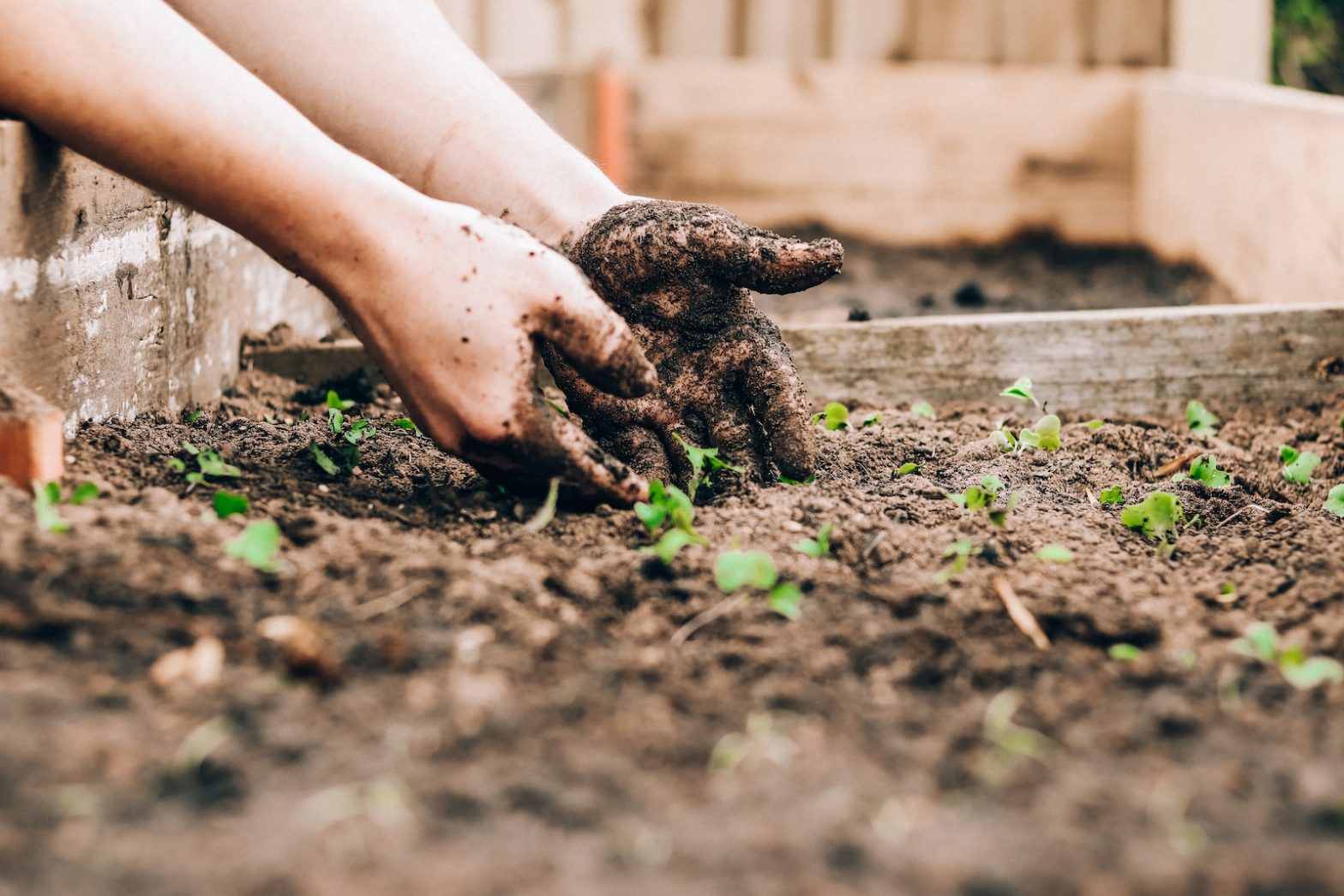 The Benefits Of Compost Tea: Is It Worth The Hype?